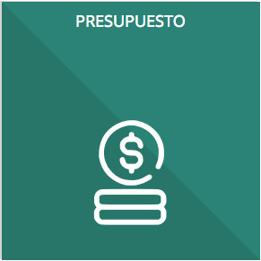8.- Presupuesto