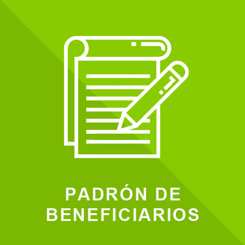 4.- Padrón de Beneficiarios
