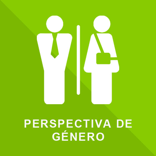 6.- Perspectiva de Género