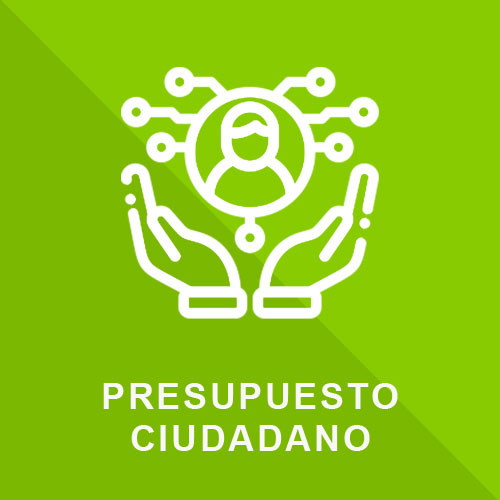 8.- Presupuesto Ciudadano